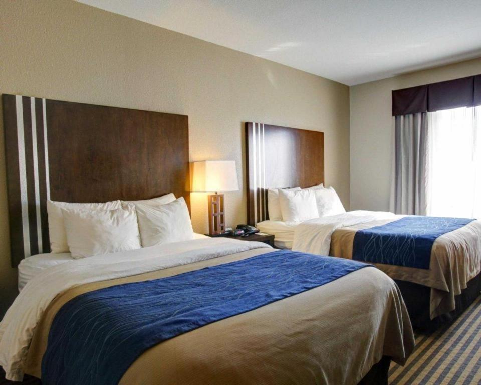 Comfort Inn & Suites Navasota Zewnętrze zdjęcie