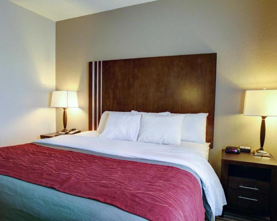 Comfort Inn & Suites Navasota Zewnętrze zdjęcie