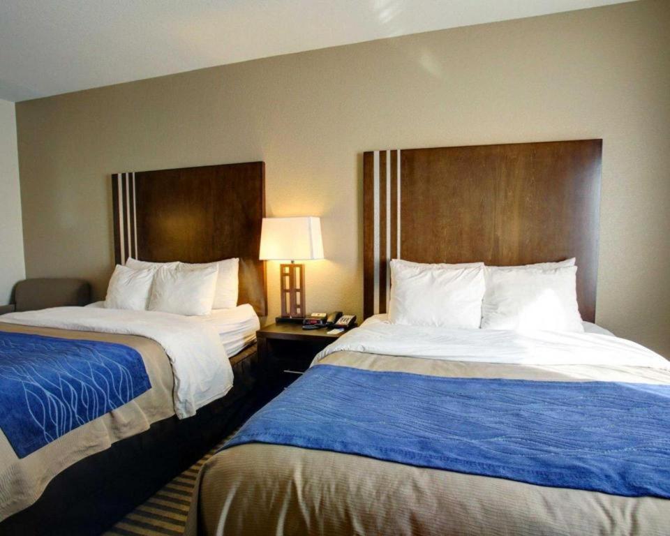 Comfort Inn & Suites Navasota Zewnętrze zdjęcie