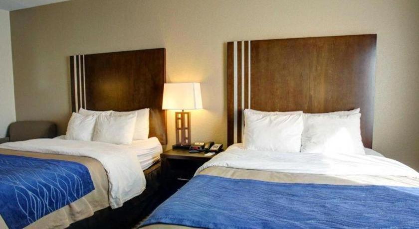 Comfort Inn & Suites Navasota Zewnętrze zdjęcie