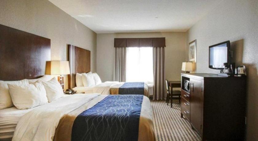 Comfort Inn & Suites Navasota Zewnętrze zdjęcie