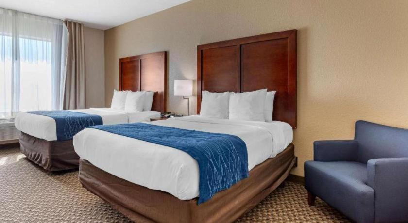 Comfort Inn & Suites Navasota Zewnętrze zdjęcie
